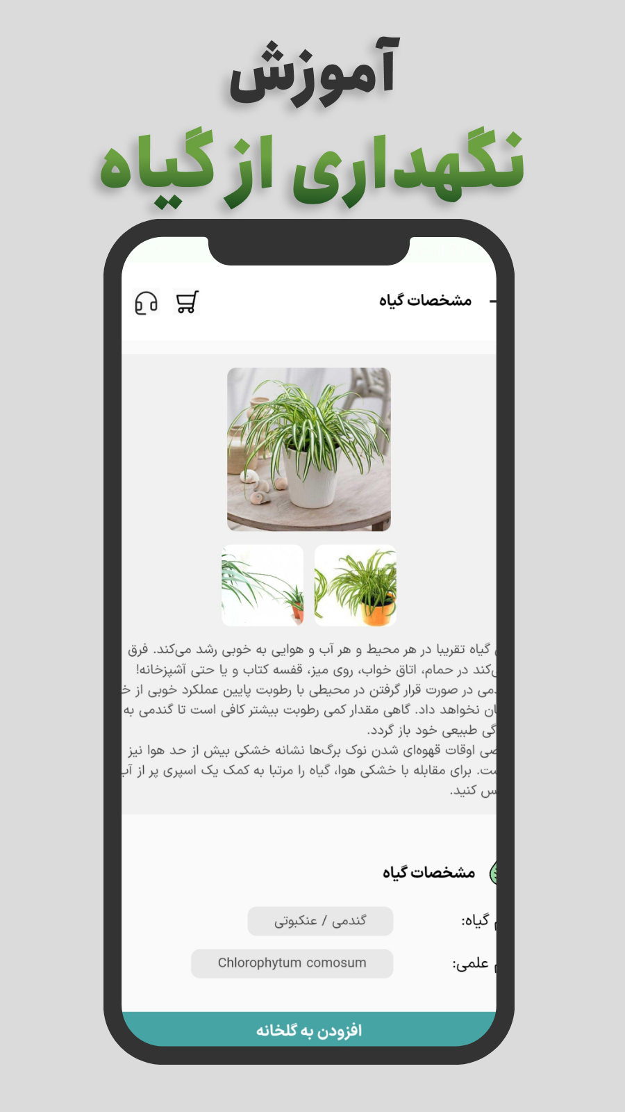اسکرین شات 2 برنامه ‏‏برگام | تشخیص بیماری گیاه