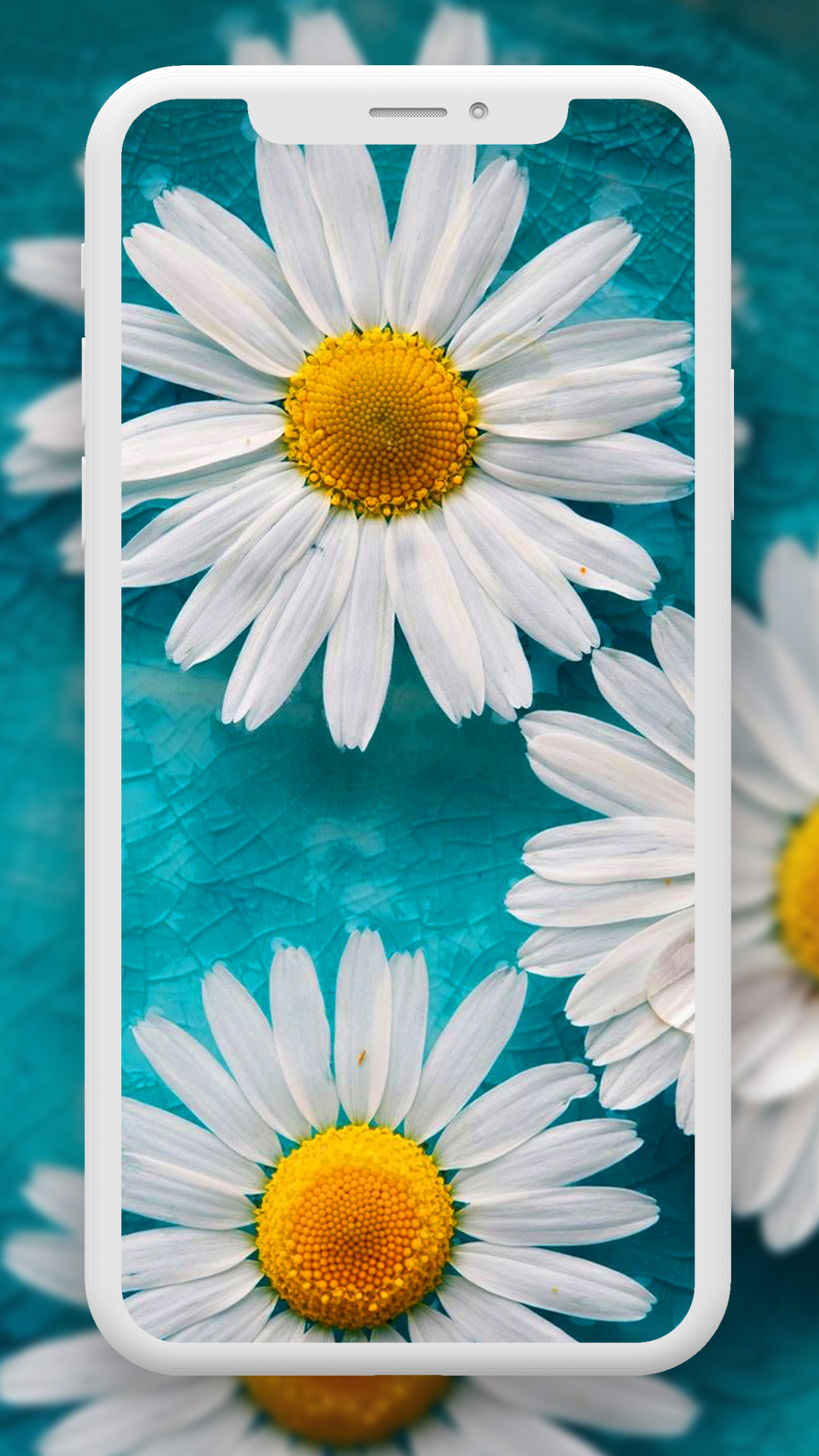 اسکرین شات 4 برنامه Flower Wallpaper HD – 4k