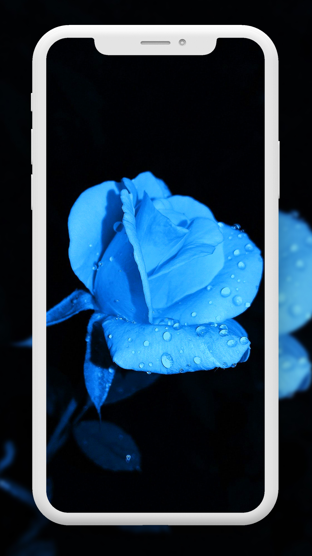 اسکرین شات 8 برنامه Flower Wallpaper HD – 4k