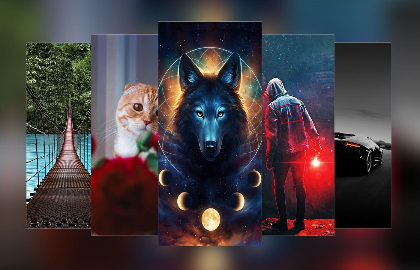 اسکرین شات 2 برنامه Ultimate Offline Wallpaper