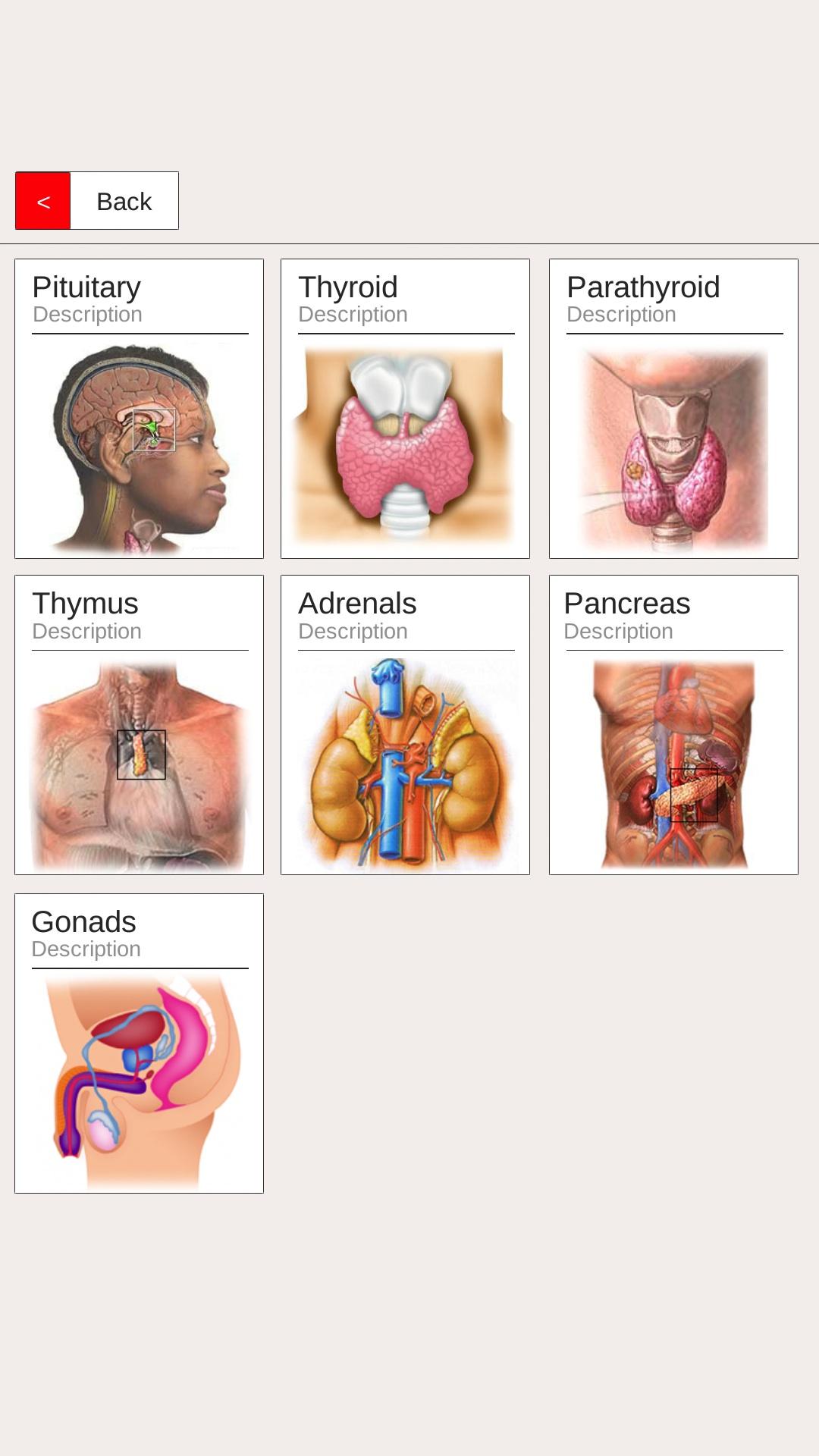 اسکرین شات 5 برنامه Massage Body Spots
