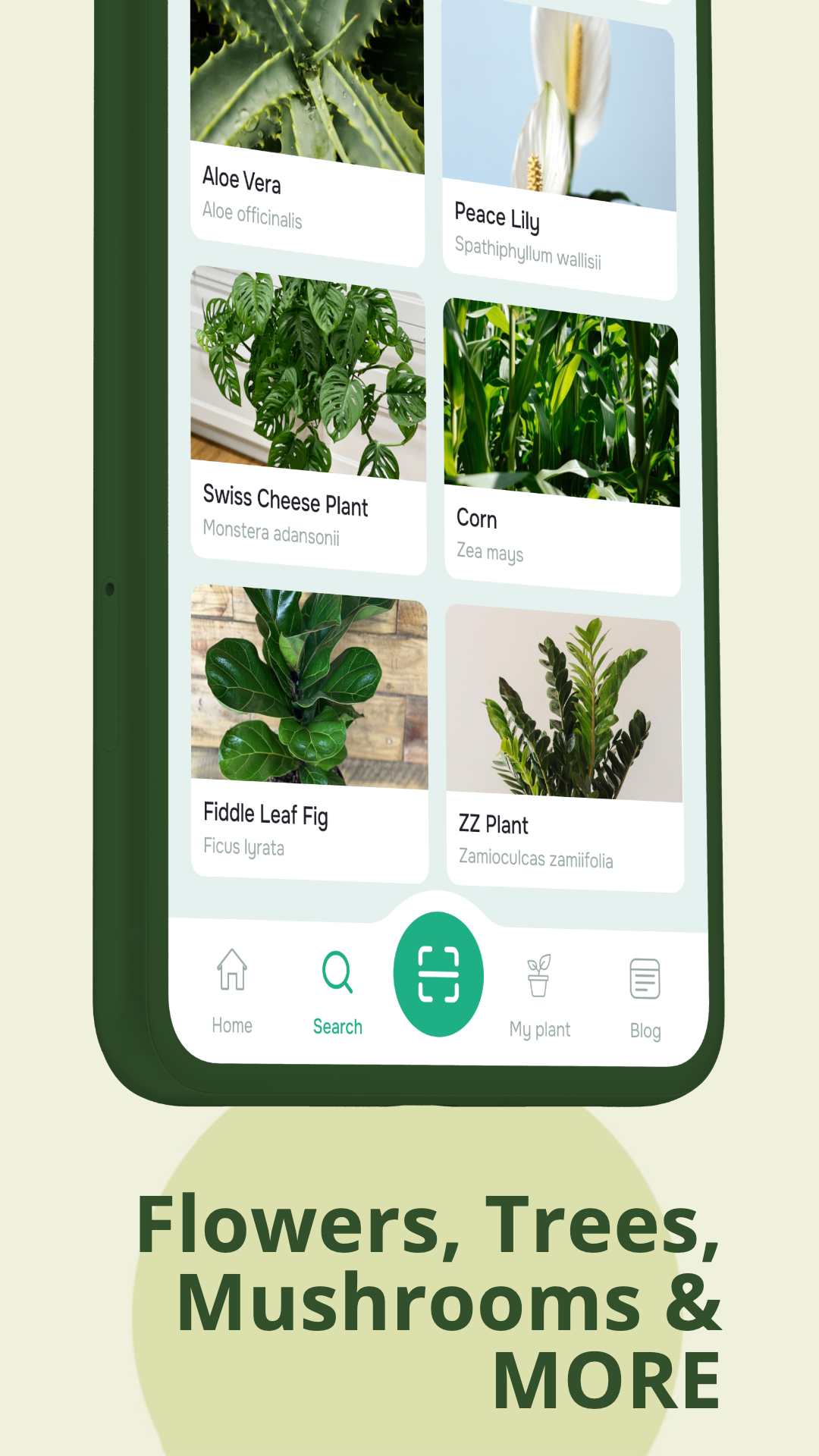 اسکرین شات 6 برنامه Herby: AI Plant Identifier