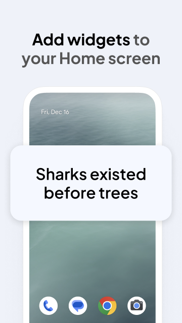 اسکرین شات 3 برنامه Daily Random Facts