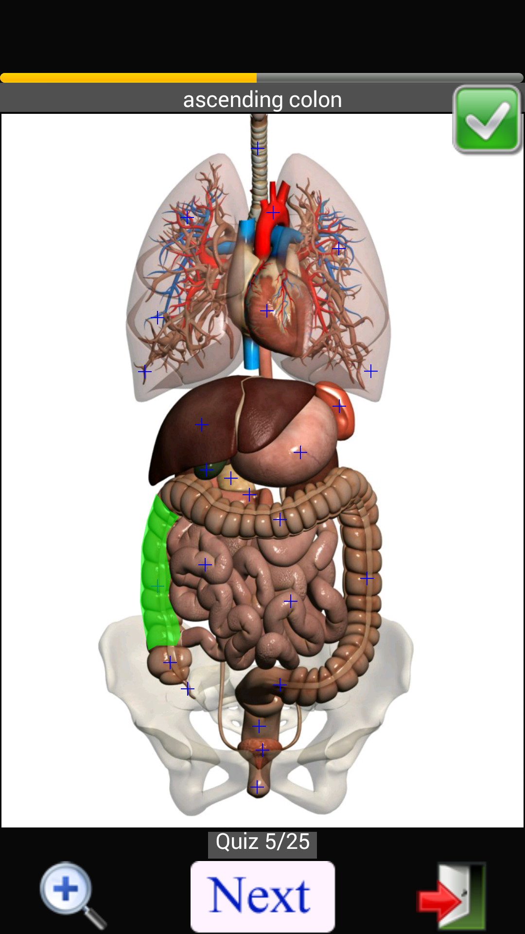 اسکرین شات 7 برنامه Anatomy Quiz