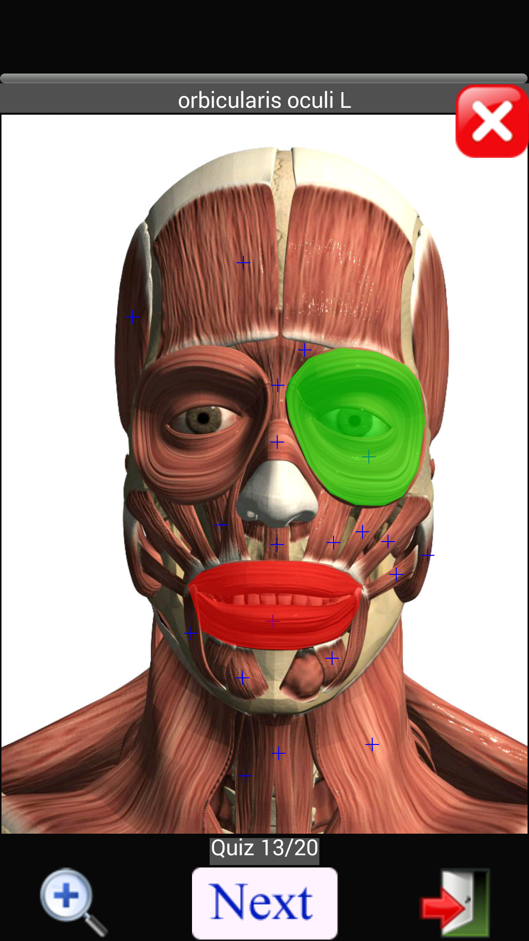 اسکرین شات 3 برنامه Anatomy Quiz