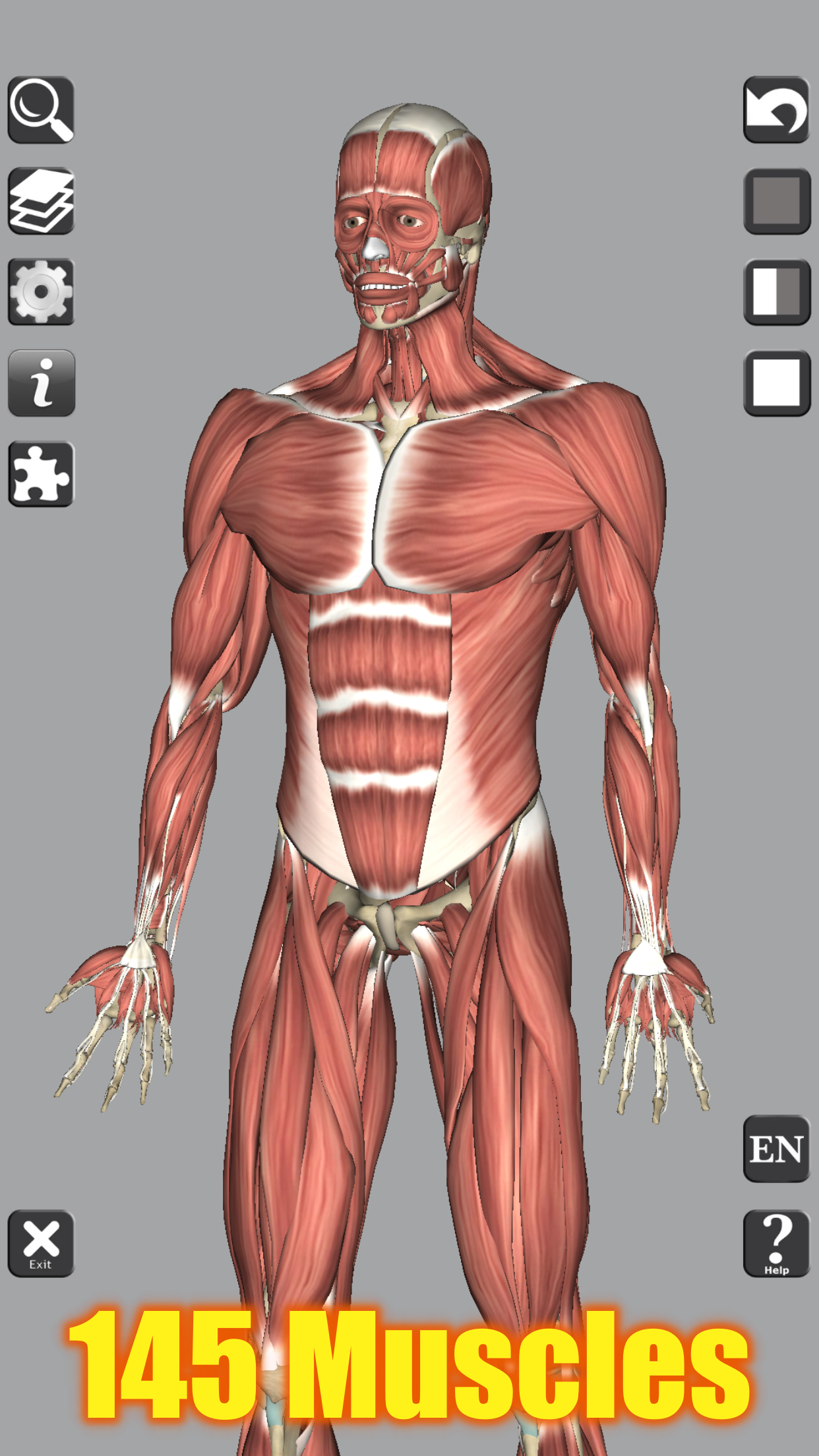 اسکرین شات 2 برنامه 3D Bones and Organs (Anatomy)