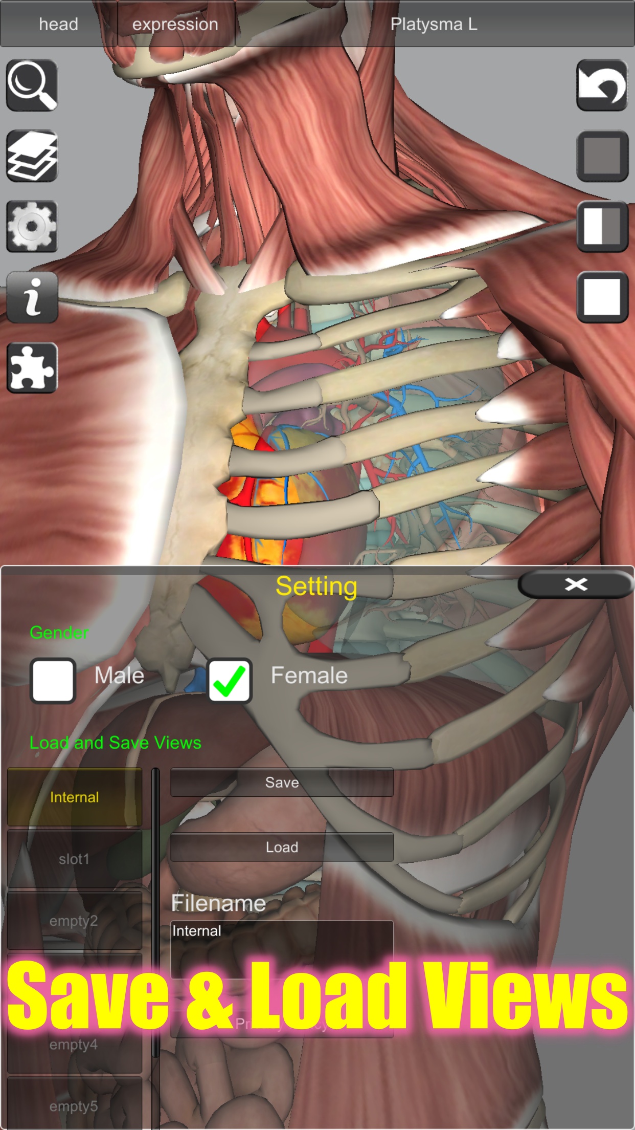 اسکرین شات 4 برنامه 3D Bones and Organs (Anatomy)