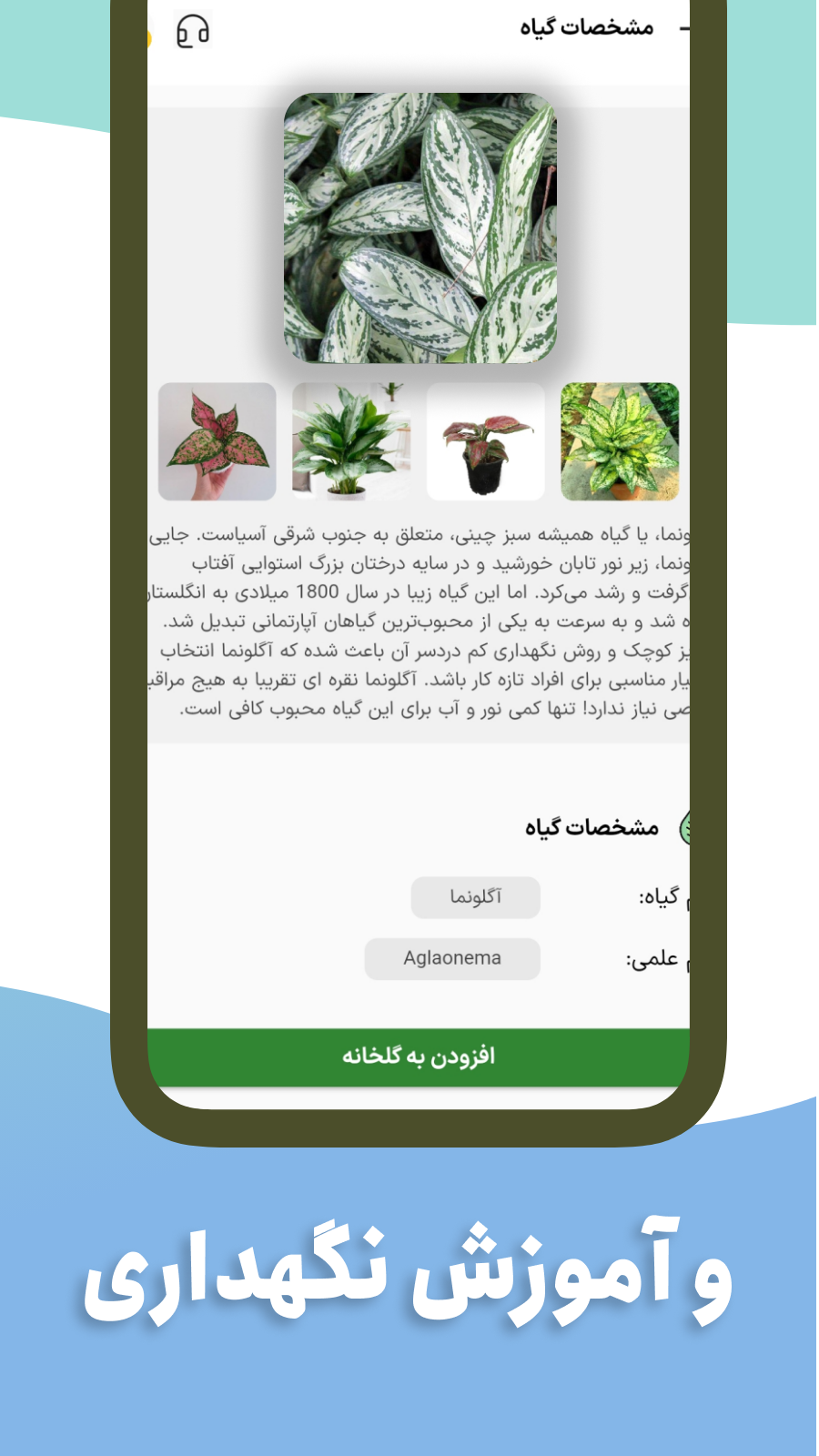 اسکرین شات 4 برنامه ‏گل بین | تشخیص گل آنلاین