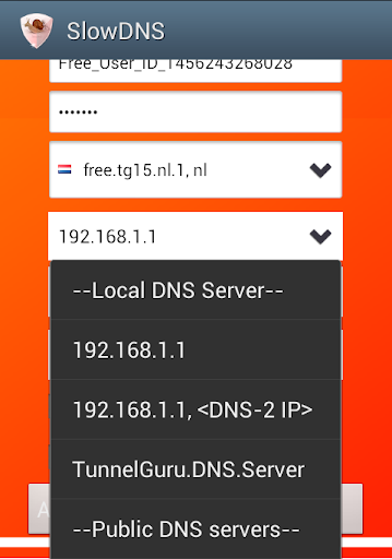 اسکرین شات 5 برنامه VPN Over DNS  Tunnel : SlowDNS