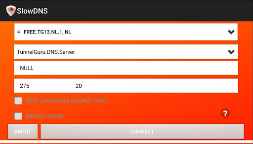 اسکرین شات 8 برنامه VPN Over DNS  Tunnel : SlowDNS