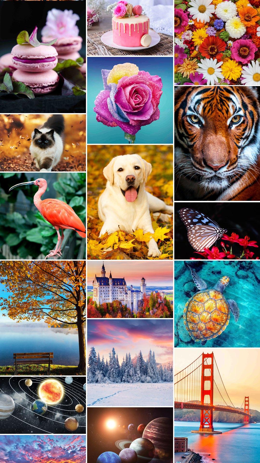 اسکرین شات 6 برنامه Jigsaw1000: Jigsaw puzzles
