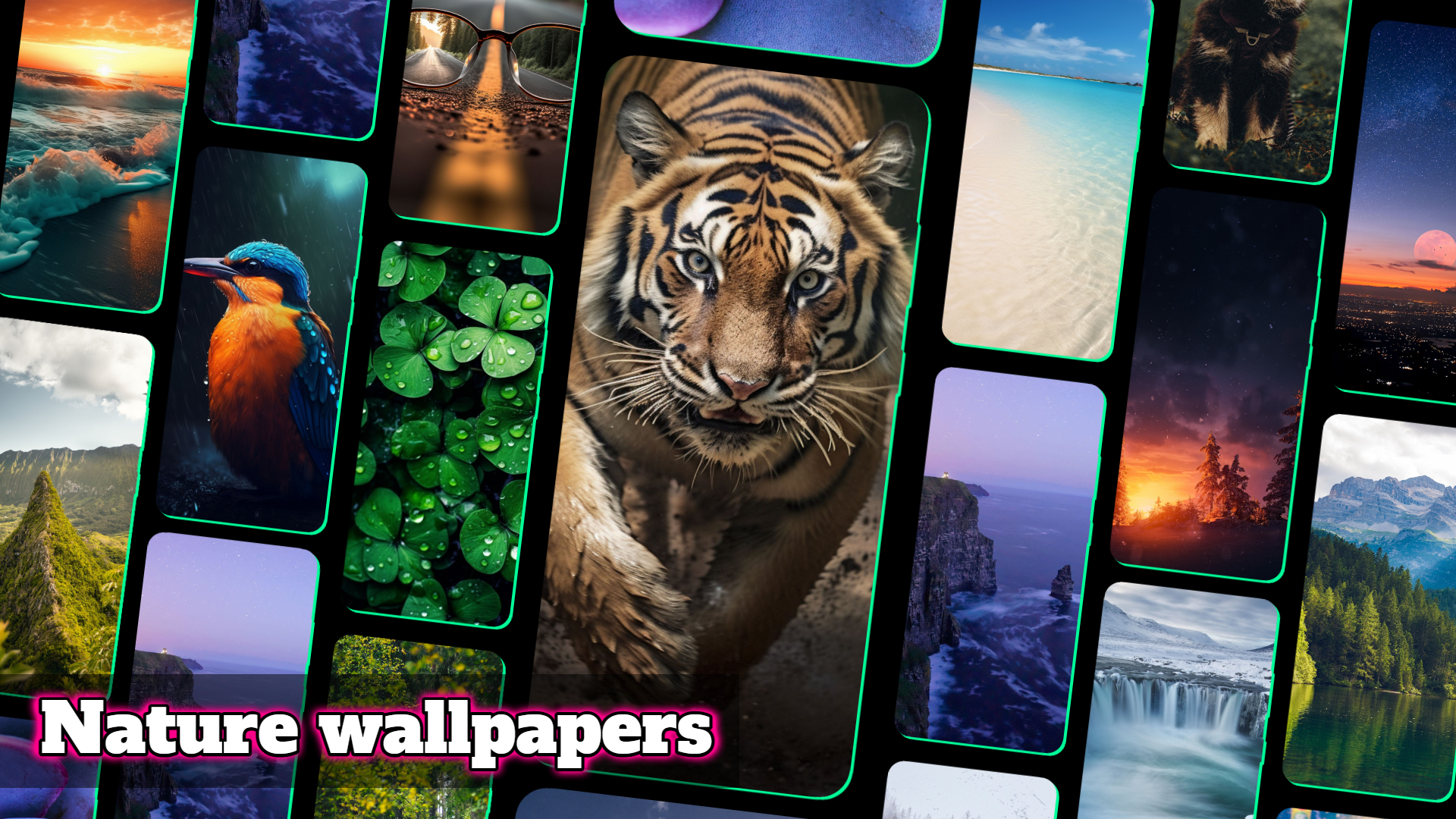 اسکرین شات 6 برنامه NovaPix: Wallpapers HD & 4K
