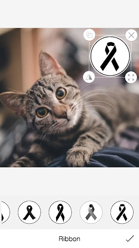اسکرین شات 1 برنامه Black Ribbon