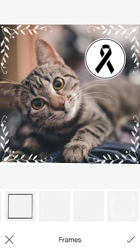 اسکرین شات 2 برنامه Black Ribbon