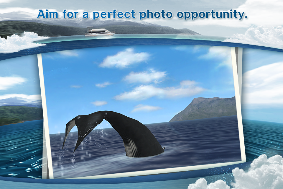 اسکرین شات 3 بازی REAL WHALES Find the cetacean.
