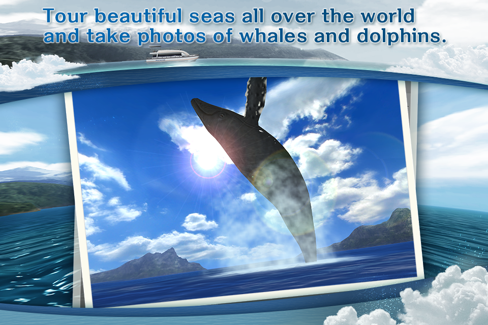 اسکرین شات 1 بازی REAL WHALES Find the cetacean.