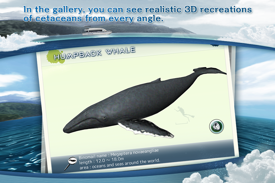 اسکرین شات 4 بازی REAL WHALES Find the cetacean.