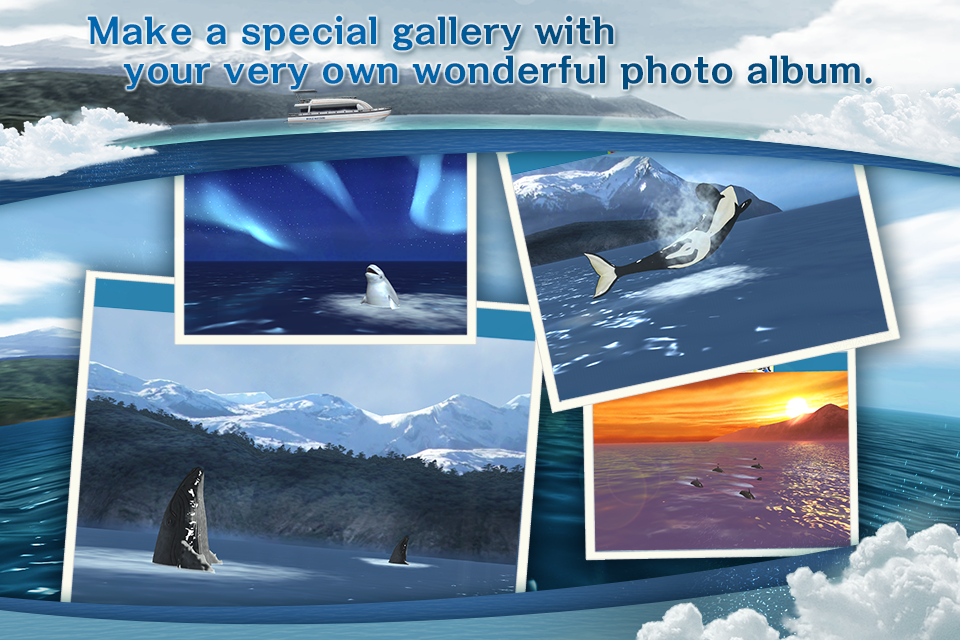 اسکرین شات 5 بازی REAL WHALES Find the cetacean.