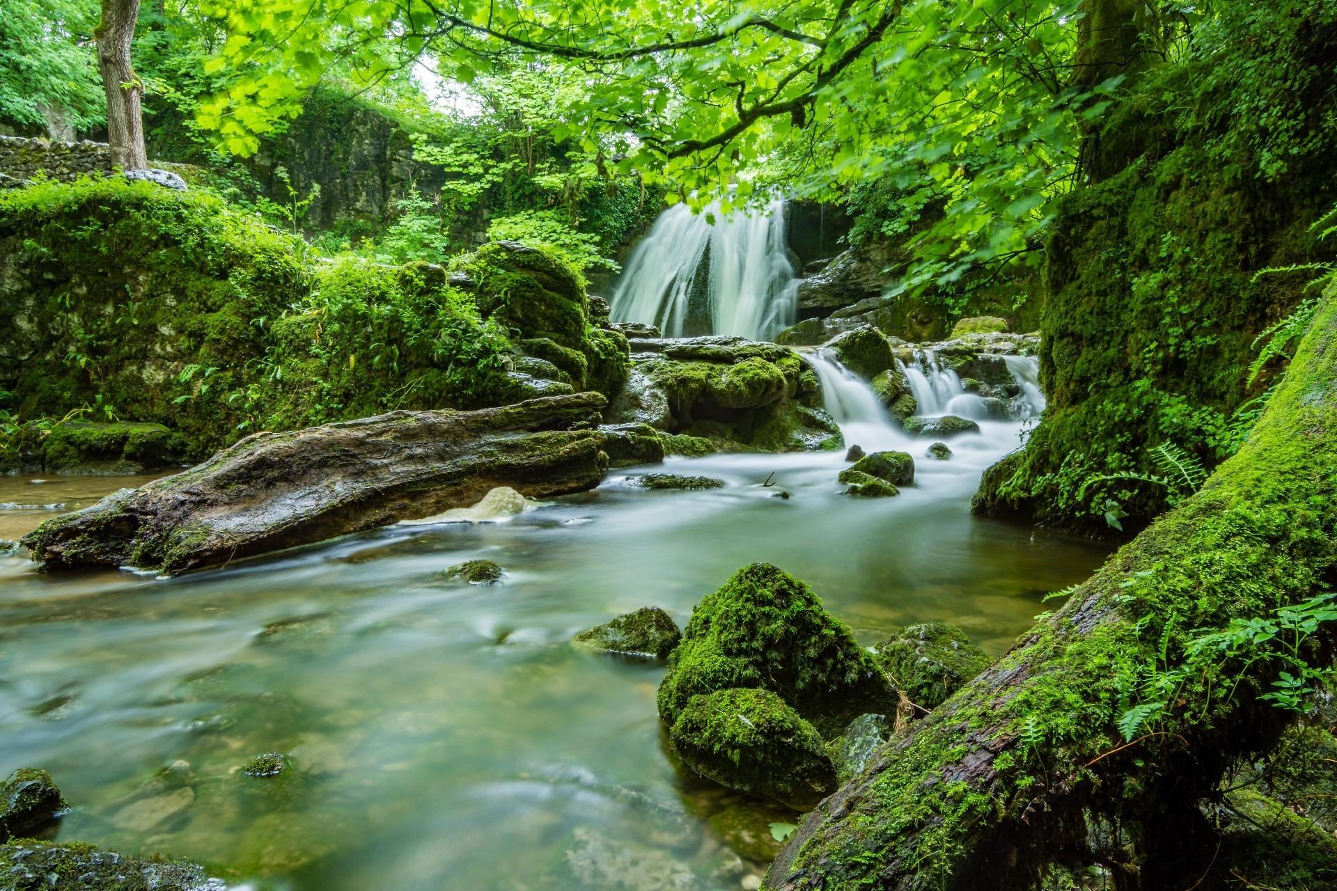 اسکرین شات 4 بازی Incredible nature jigsaw puzzl