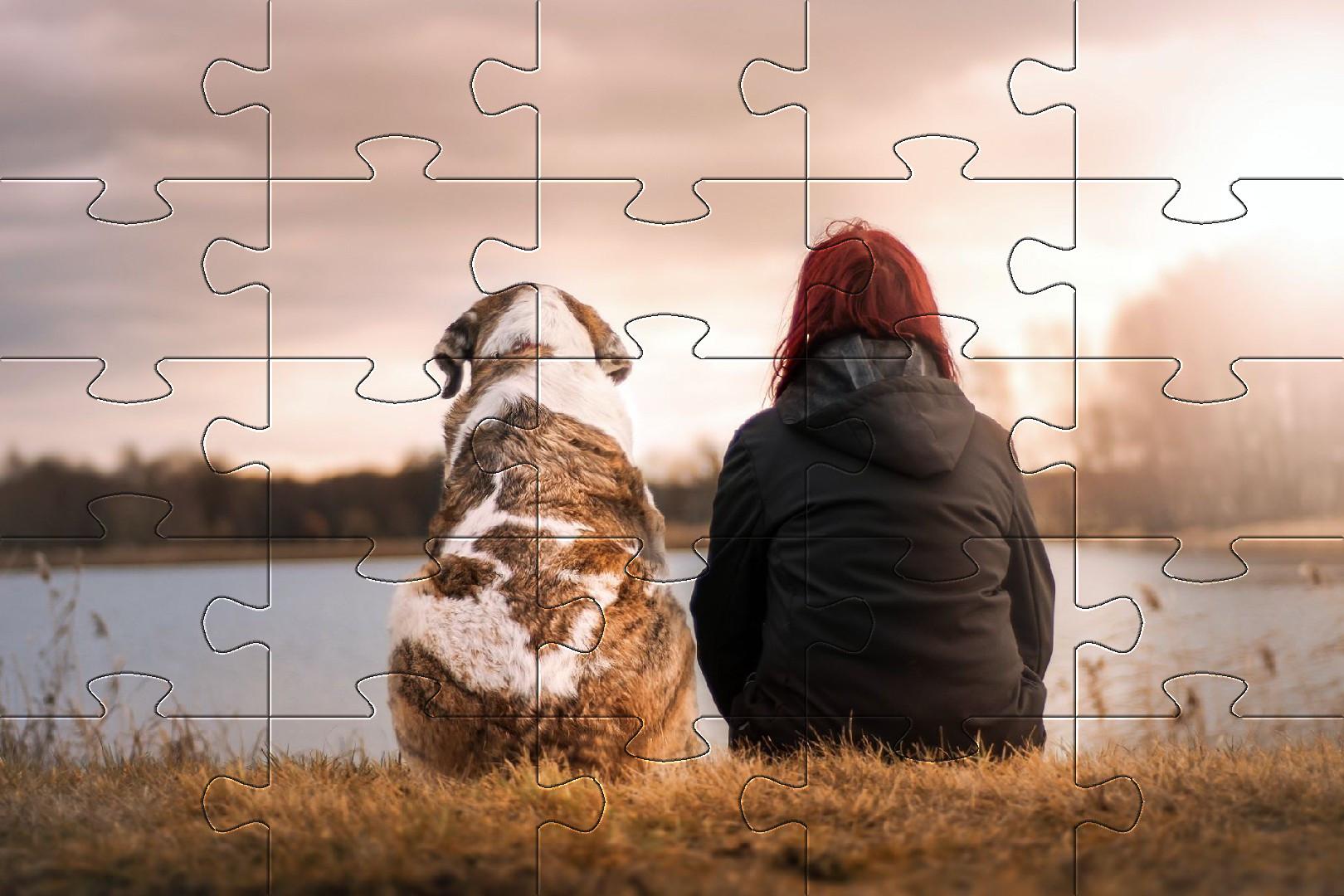 اسکرین شات 4 بازی Jigsaw puzzle without internet
