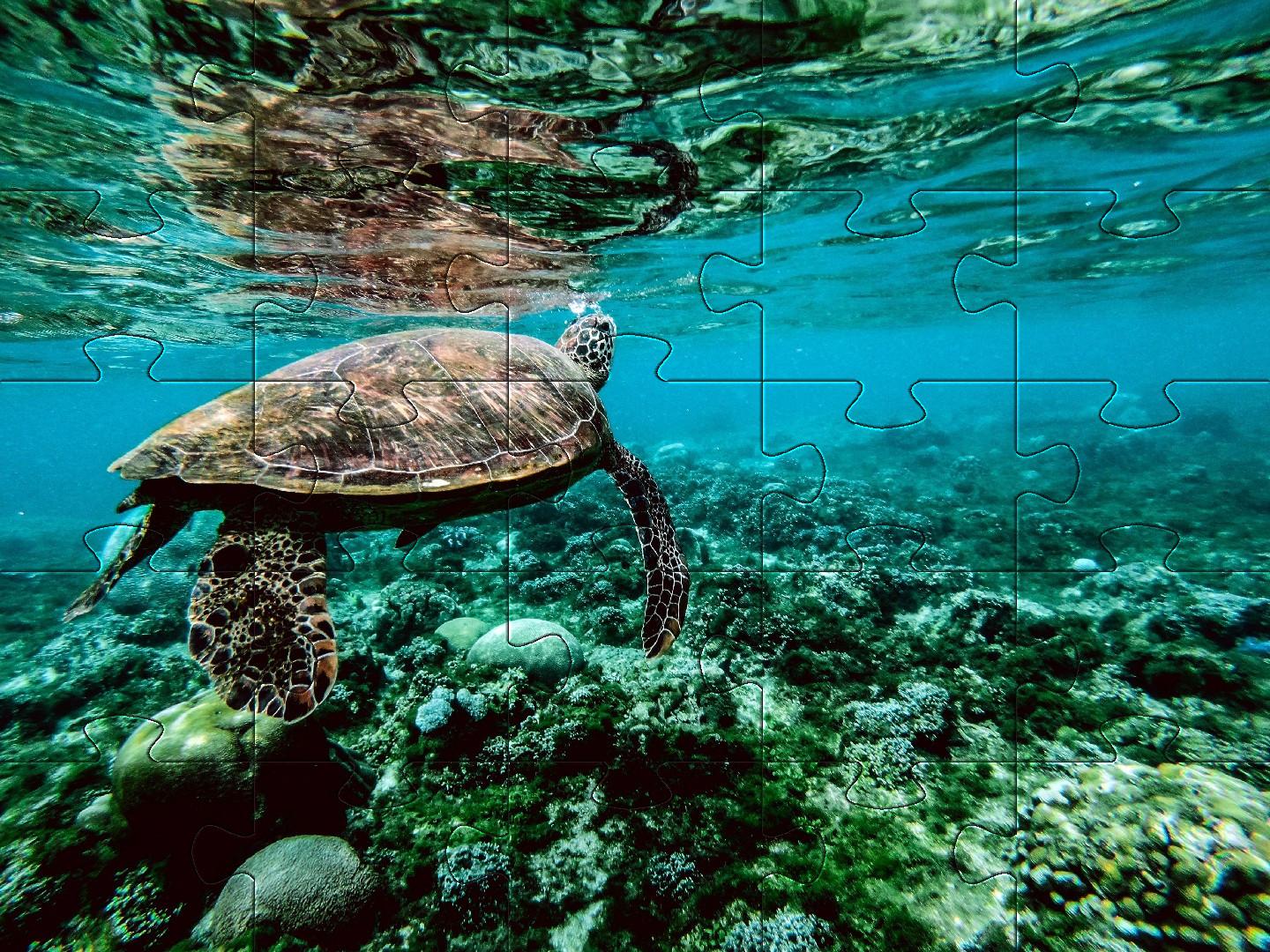 اسکرین شات 8 بازی Nature jigsaw puzzles games