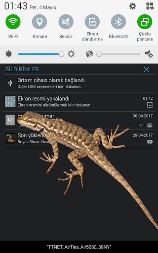 اسکرین شات 7 برنامه Lizard  on phone  prank