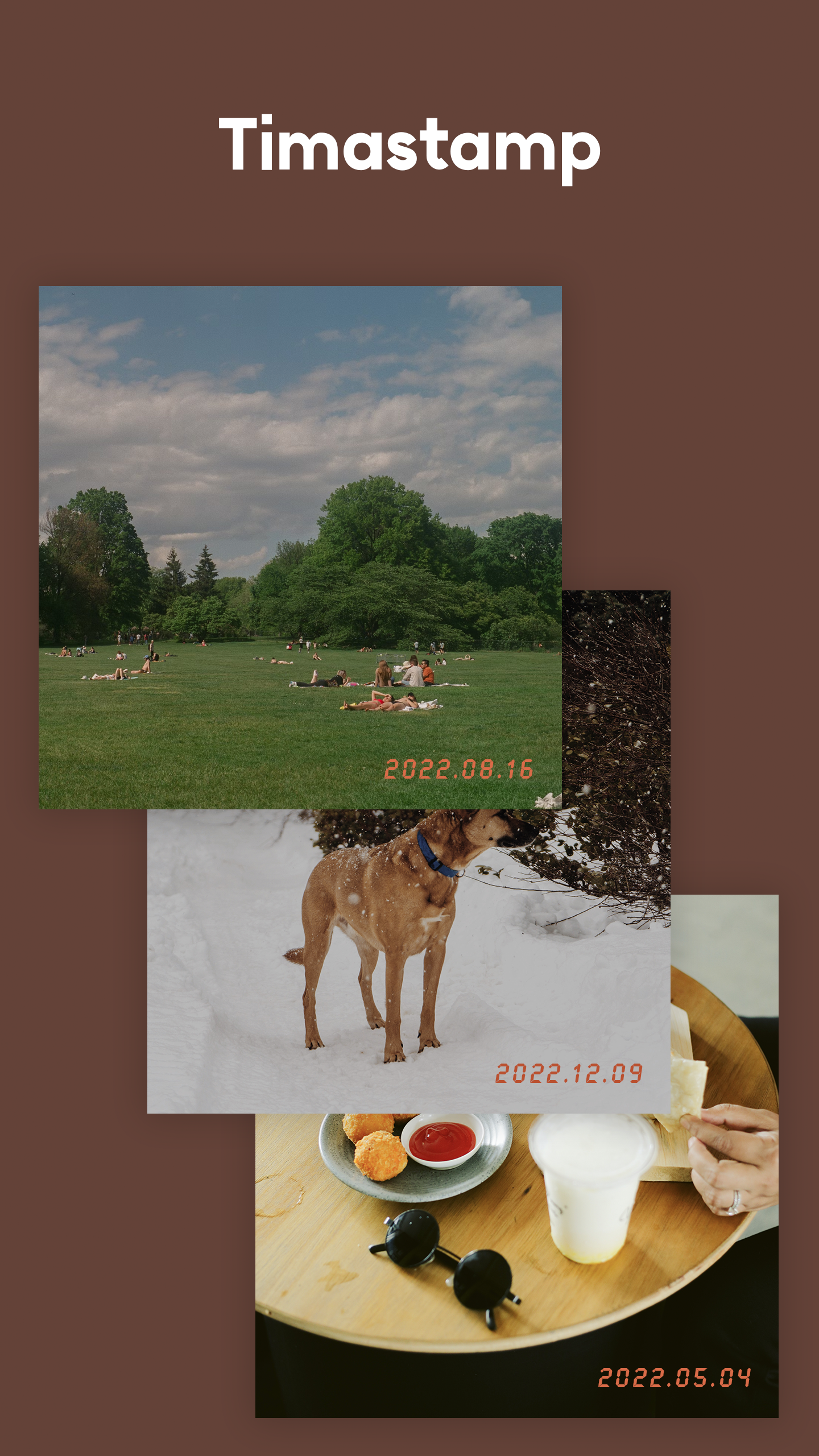 اسکرین شات 5 برنامه VASE CAMERA-TULIP/PHOTO EDITOR