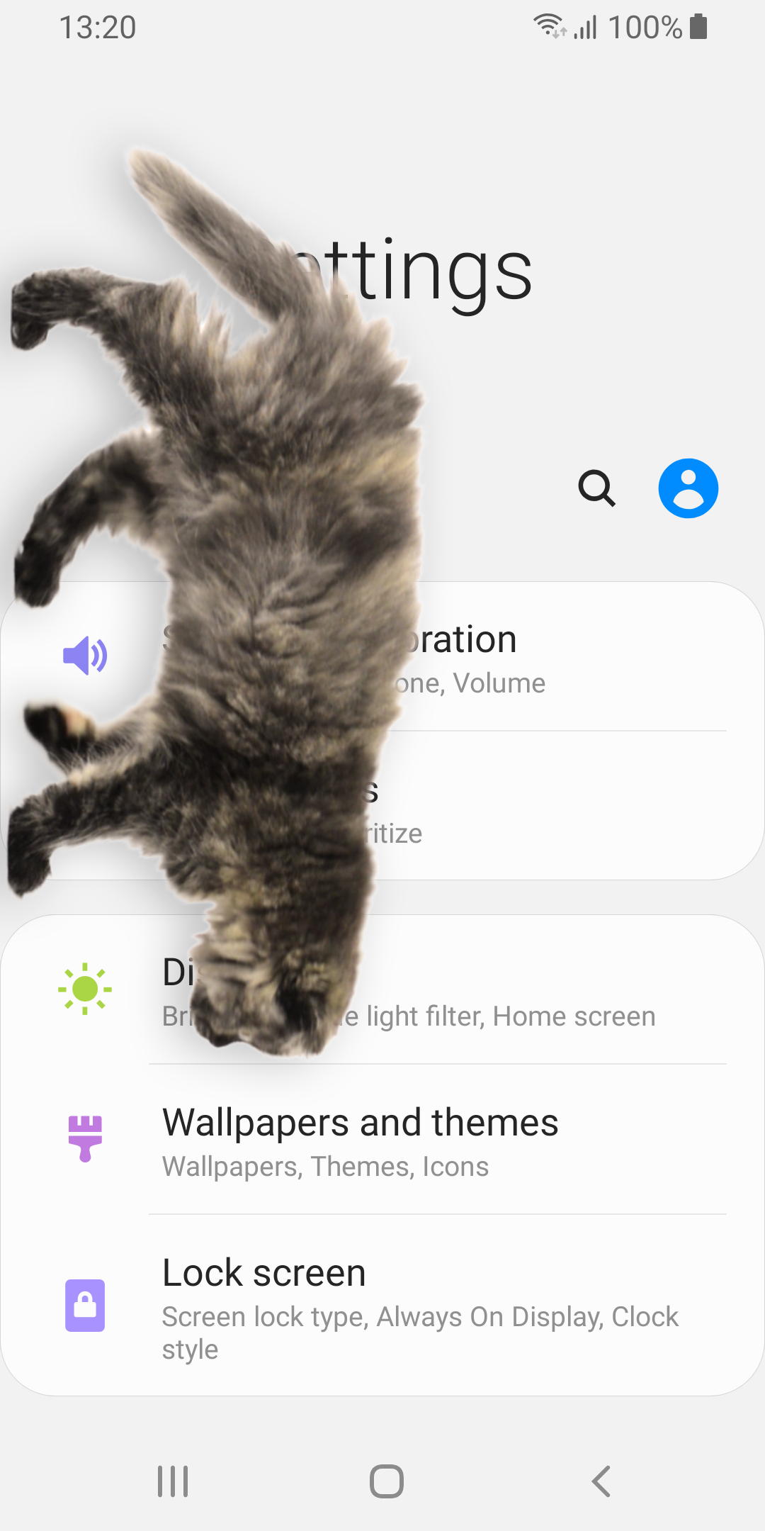 اسکرین شات 4 برنامه Cat Walks in Phone Cute Joke