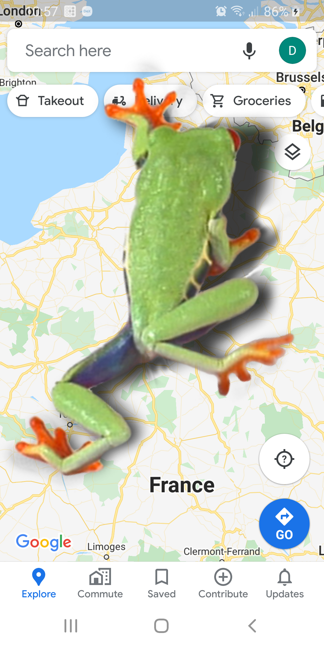 اسکرین شات 2 برنامه Frog walking on screen joke