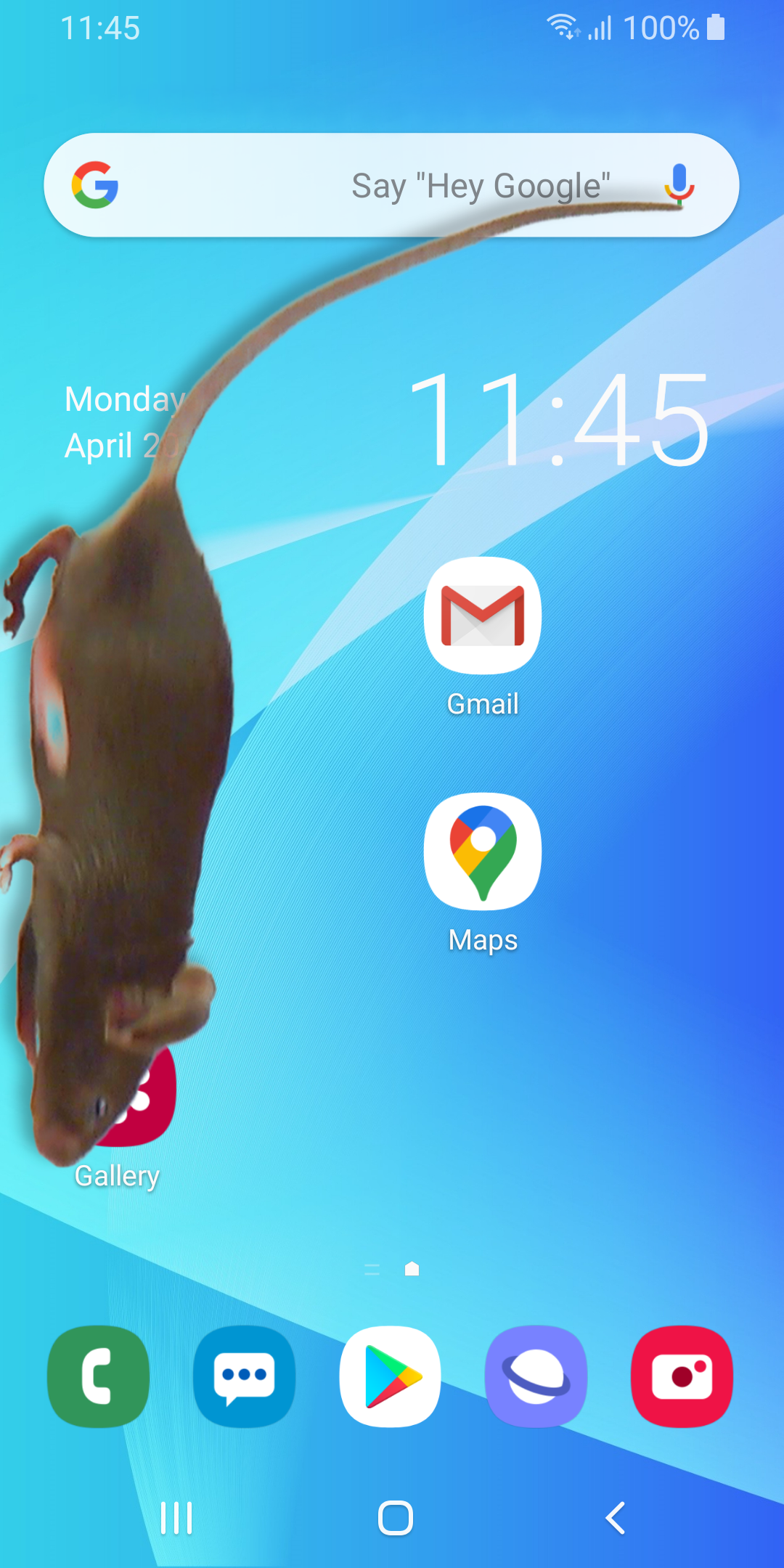 اسکرین شات 4 برنامه Mouse on Screen Scary Joke