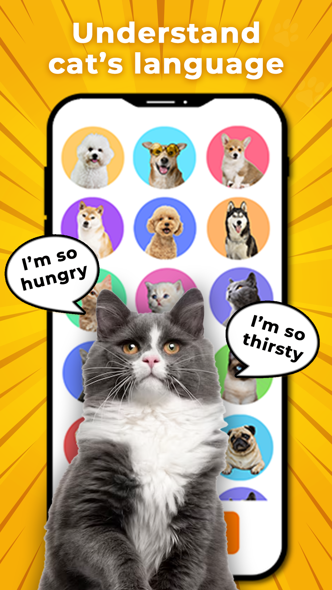 اسکرین شات بازی MeowTalk - Cat Translator 2