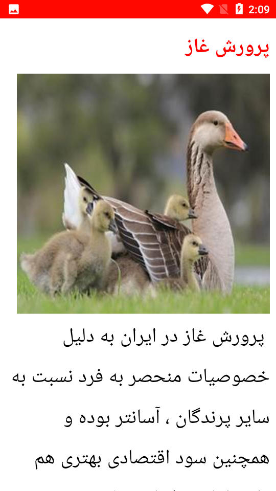 اسکرین شات 2 برنامه نکات مهم پرورش غاز