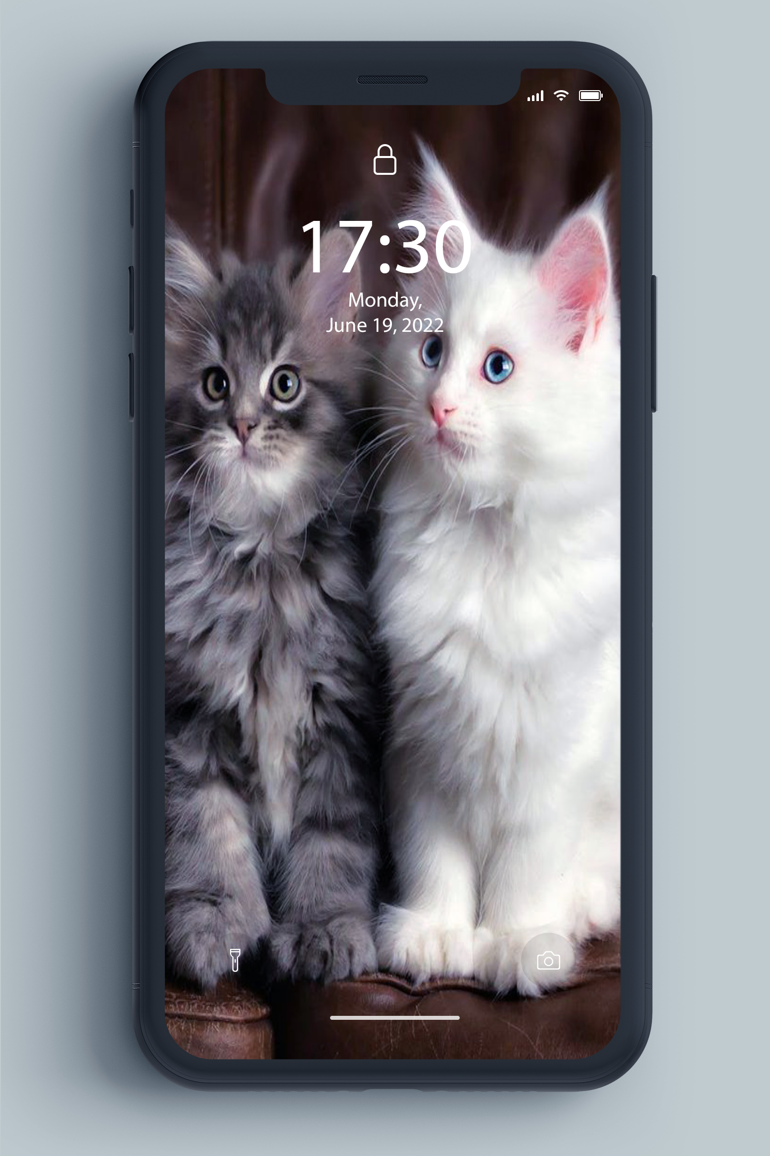 اسکرین شات 3 برنامه Kitten Wallpaper