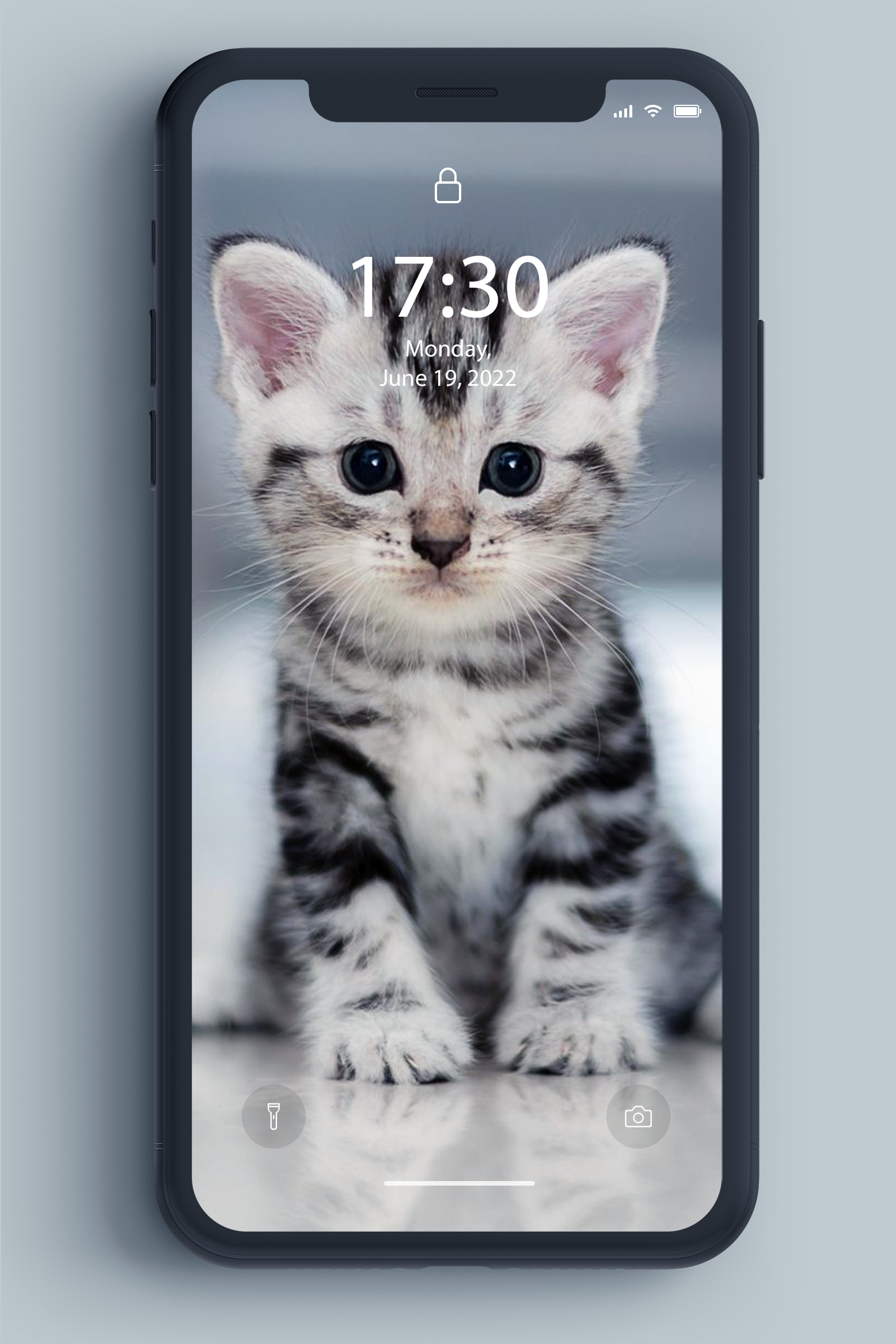 اسکرین شات 5 برنامه Kitten Wallpaper
