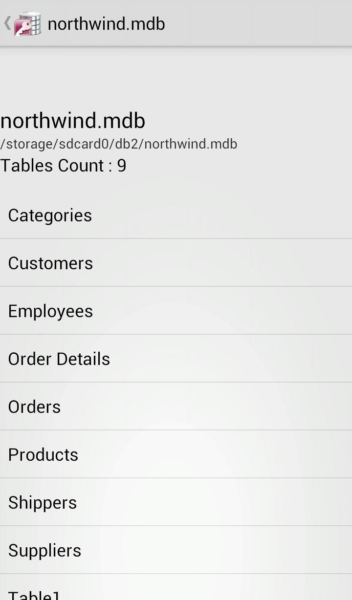 اسکرین شات 5 برنامه Viewer for MS Access ACCDB-MDB