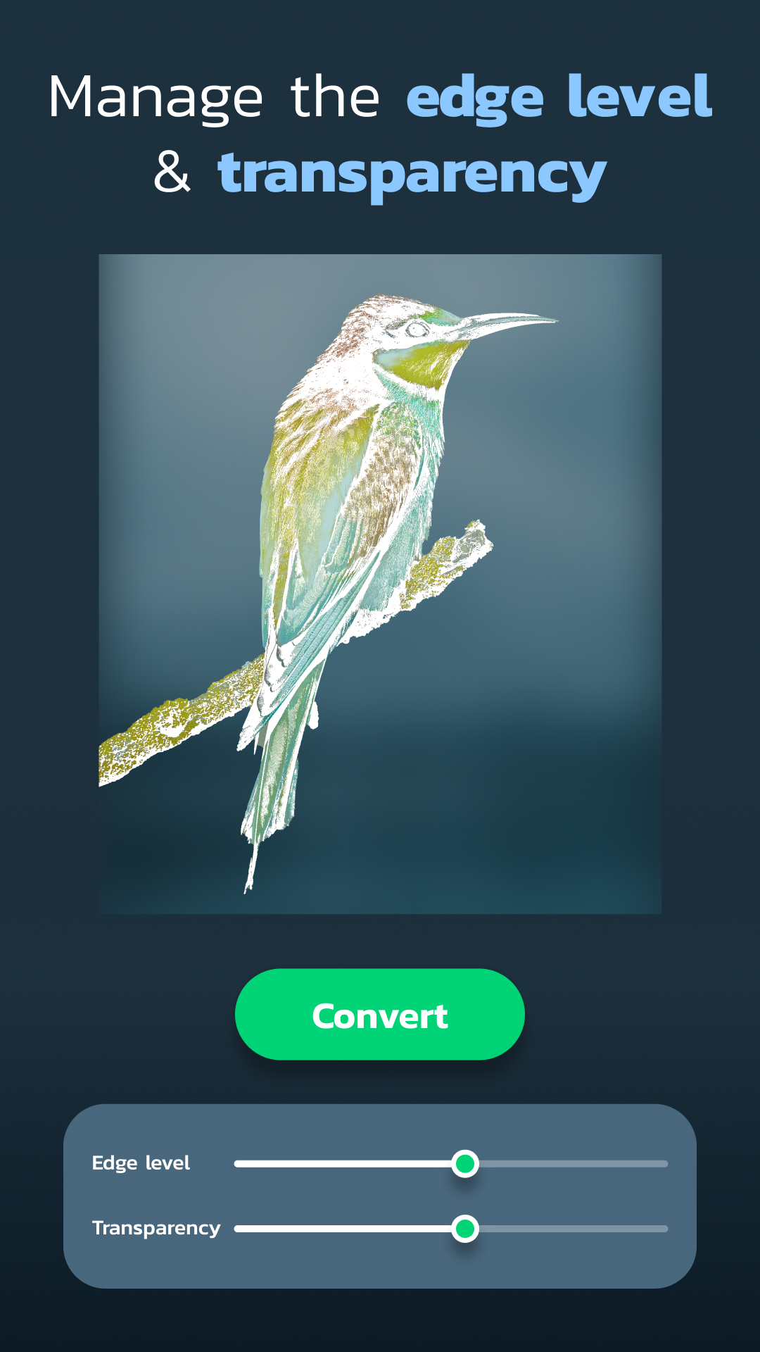 اسکرین شات 7 برنامه Draw Easy: Trace to Sketch