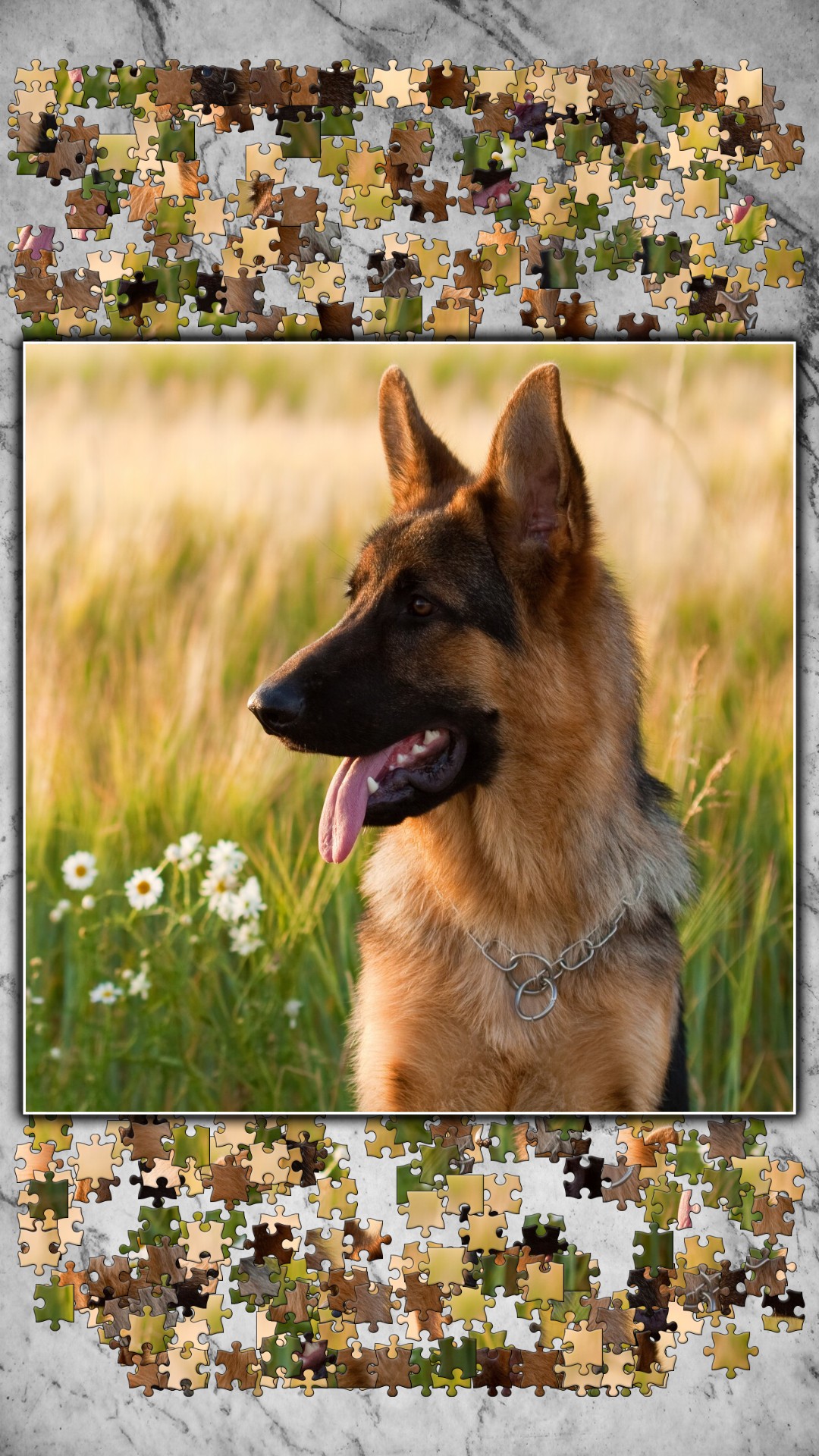 اسکرین شات 2 بازی Jigsaw Puzzles Titan