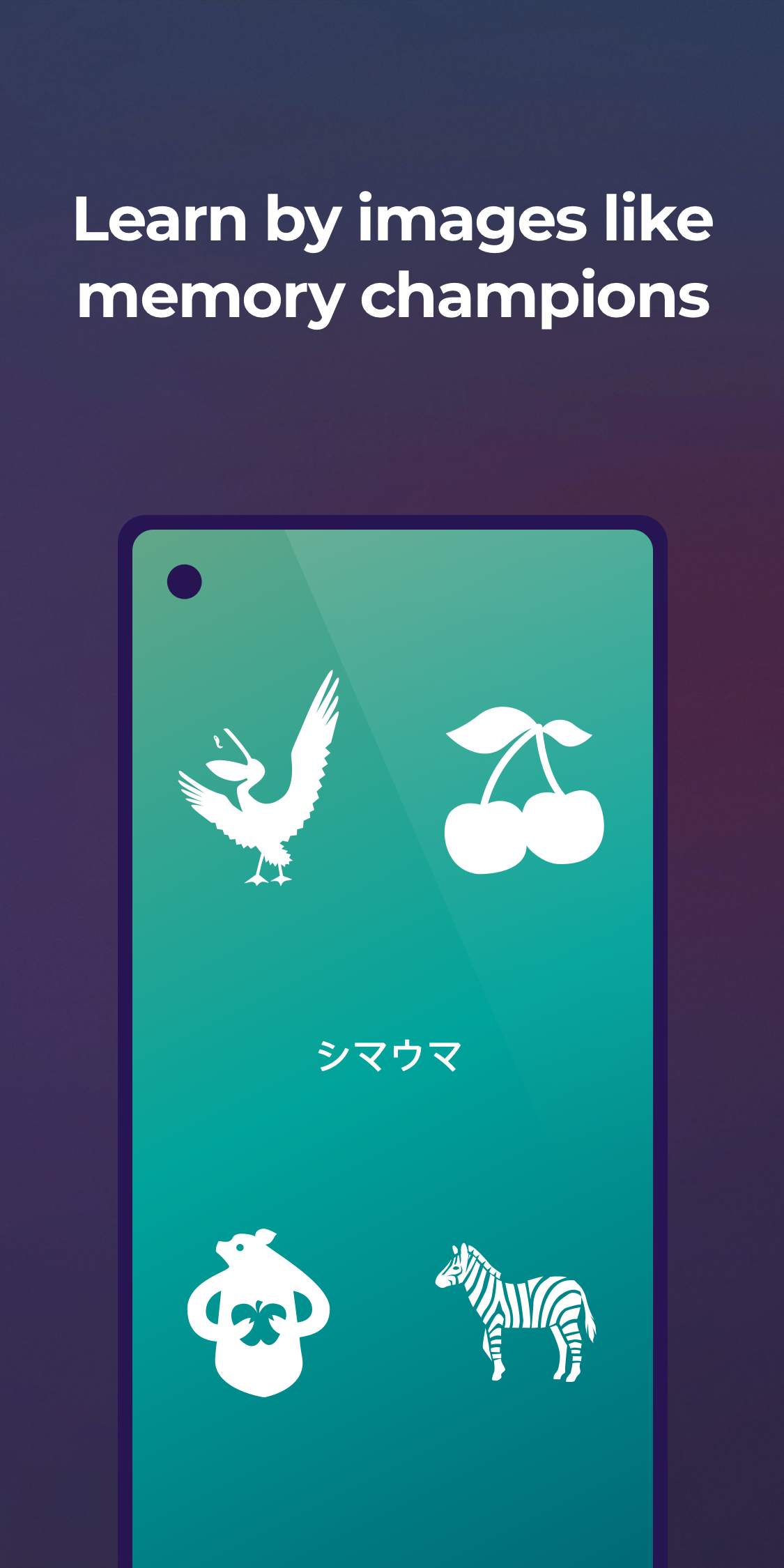 اسکرین شات 3 برنامه Drops: Learn Japanese