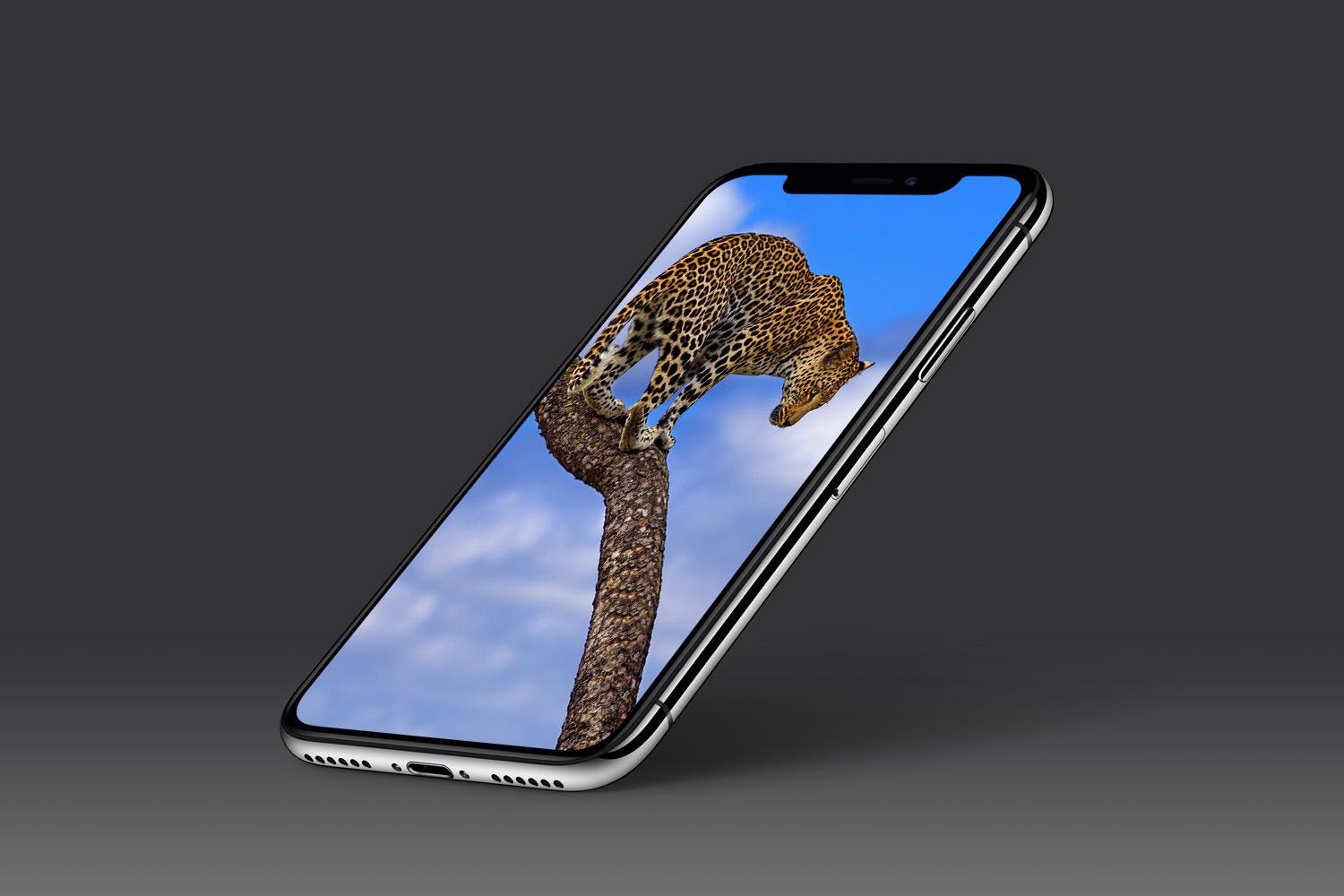اسکرین شات 8 برنامه Leopard Wallpaper