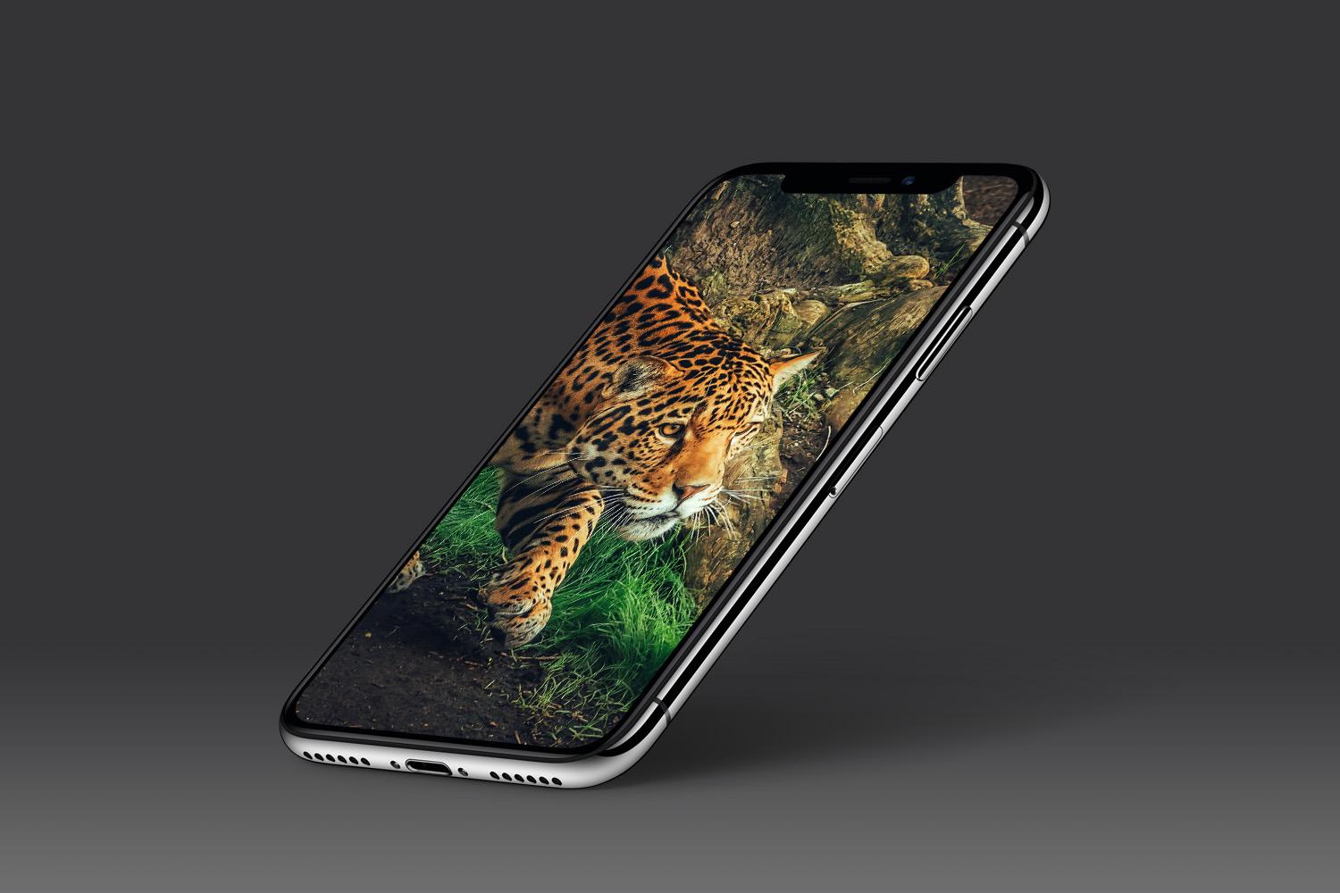 اسکرین شات 7 برنامه Leopard Wallpaper