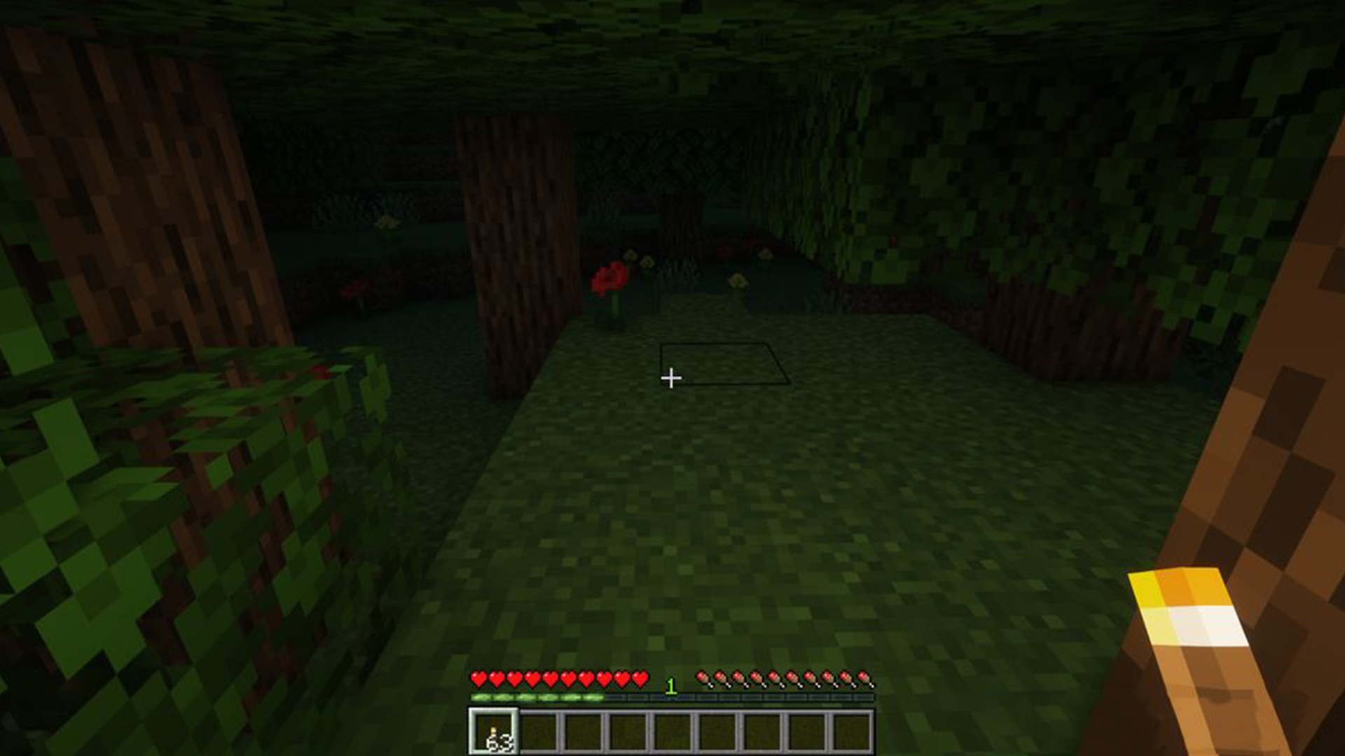اسکرین شات 3 برنامه Raiyons Lights Mod Minecraft