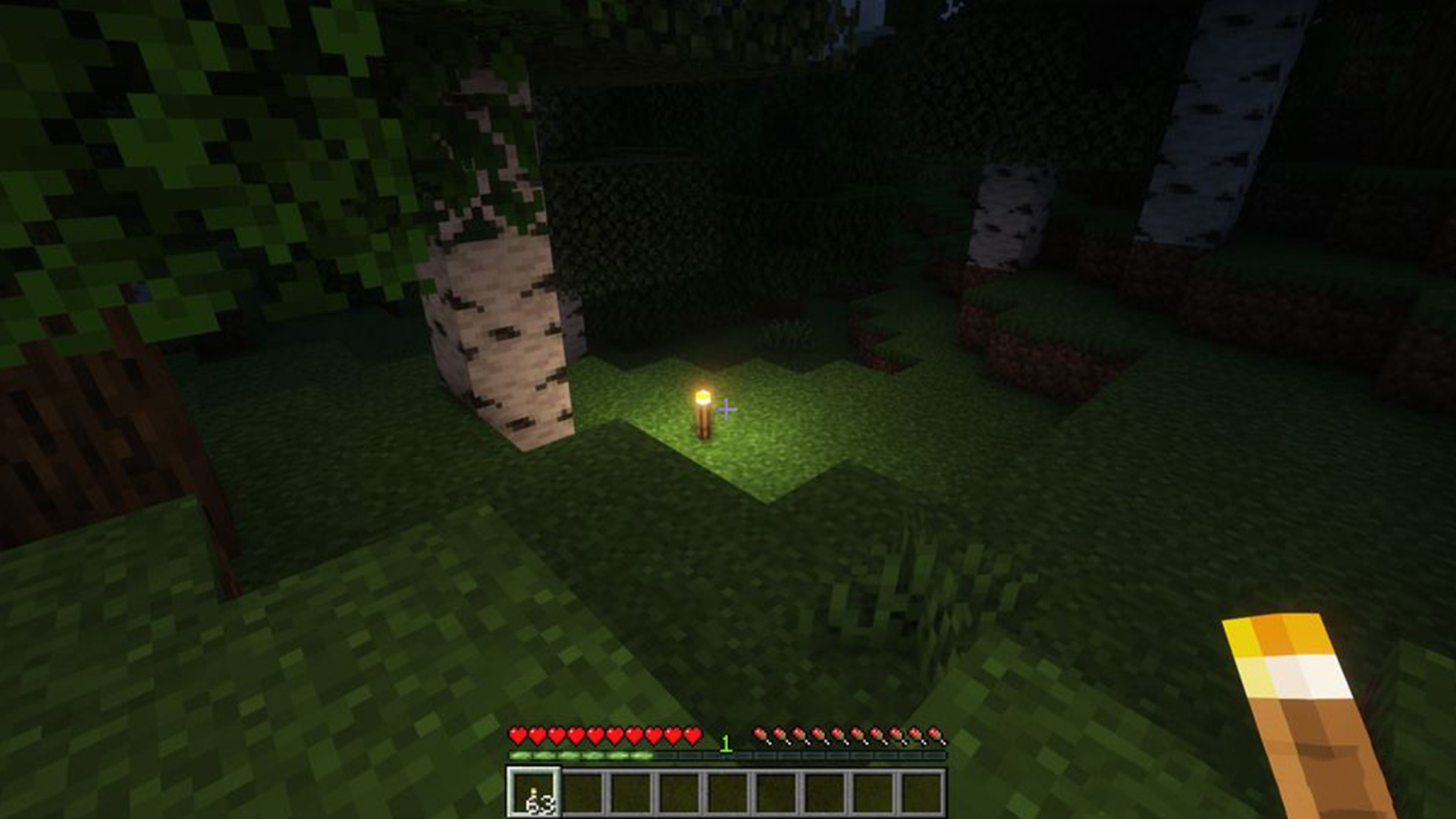 اسکرین شات 2 برنامه Raiyons Lights Mod Minecraft