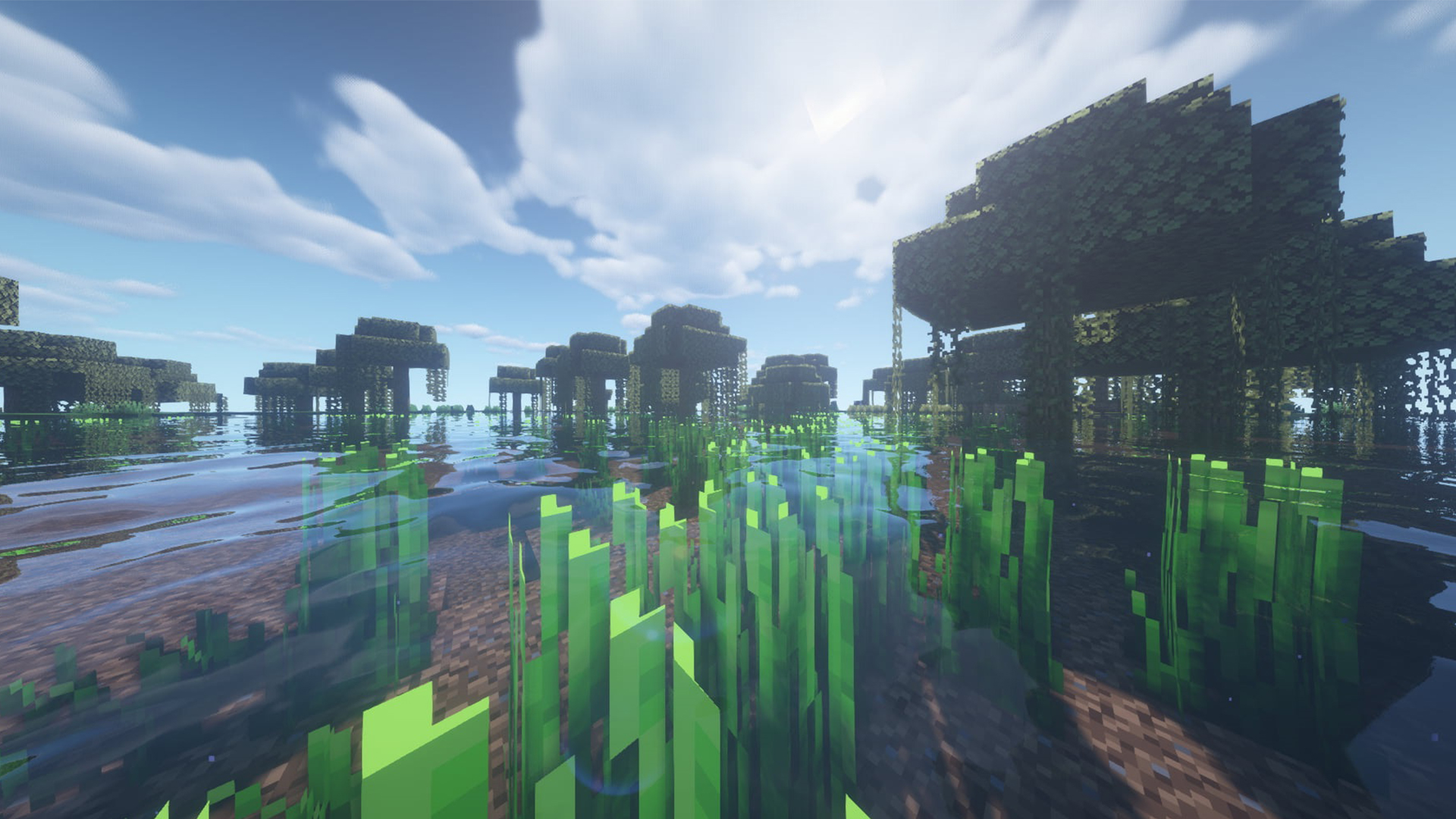 اسکرین شات 2 برنامه Vanilla Shaders Minecraft