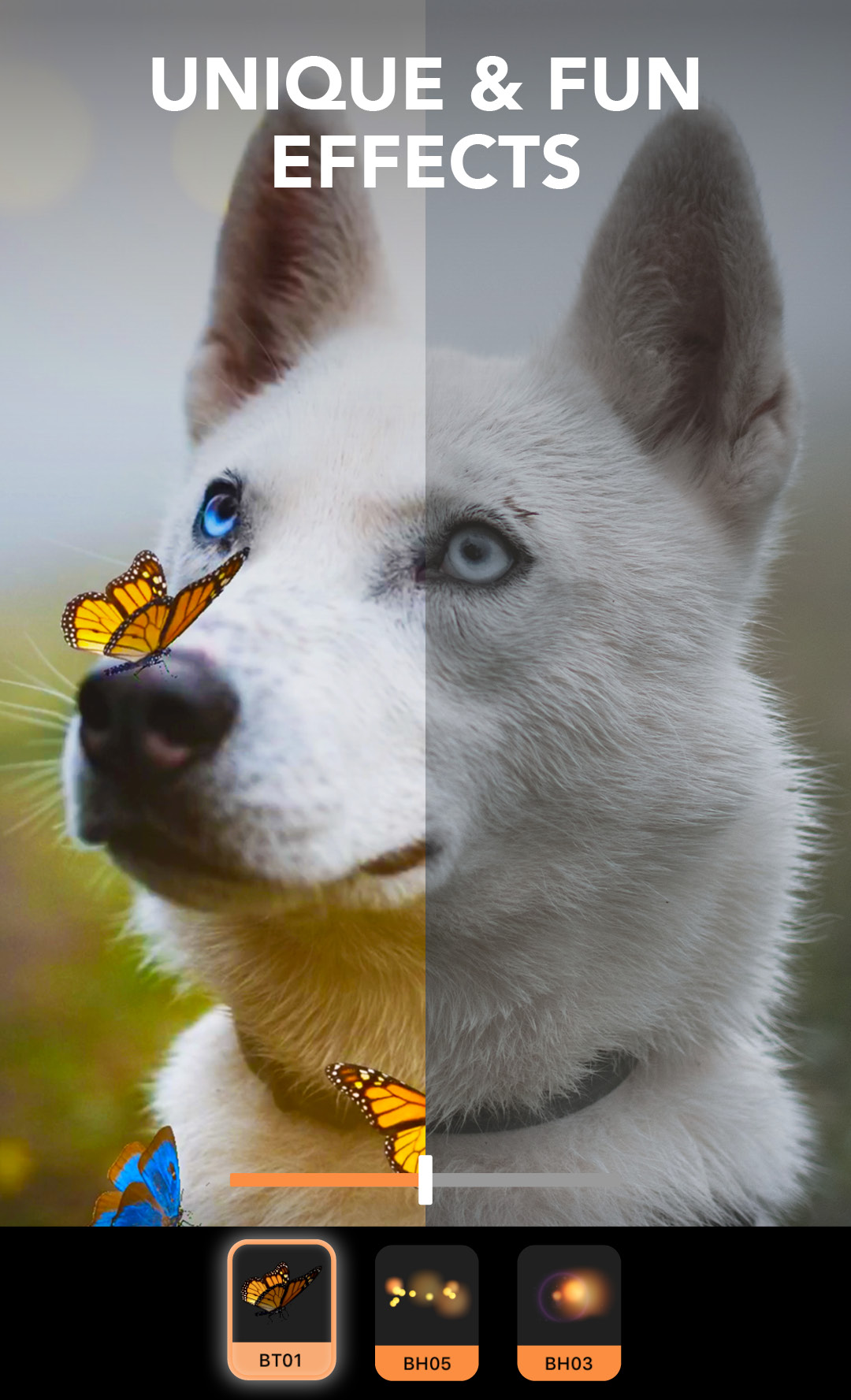 اسکرین شات 5 برنامه Motionleap by Lightricks