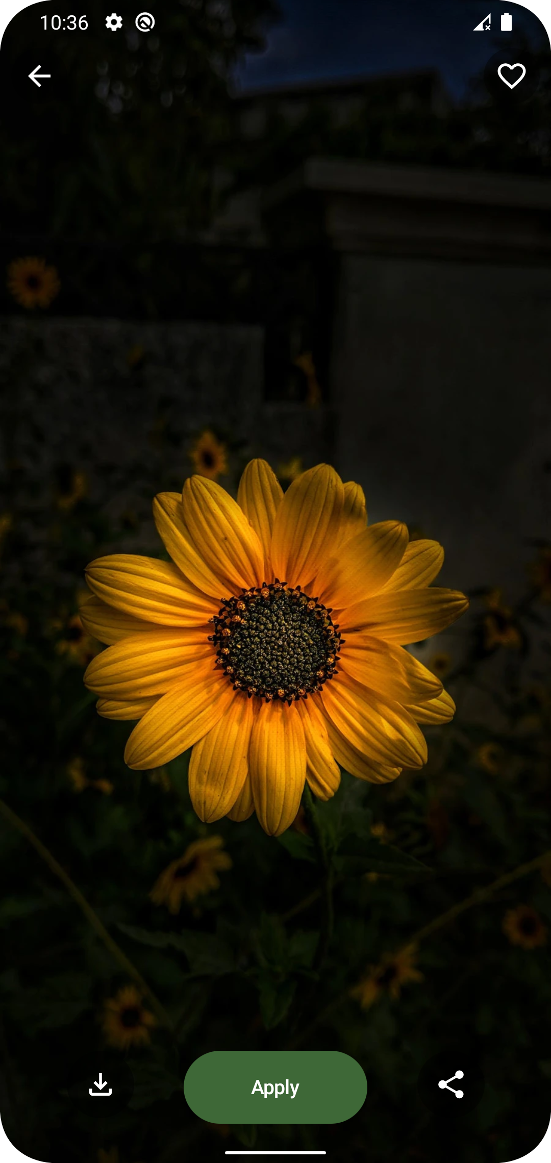 اسکرین شات 3 برنامه Lock Screen Wallpaper