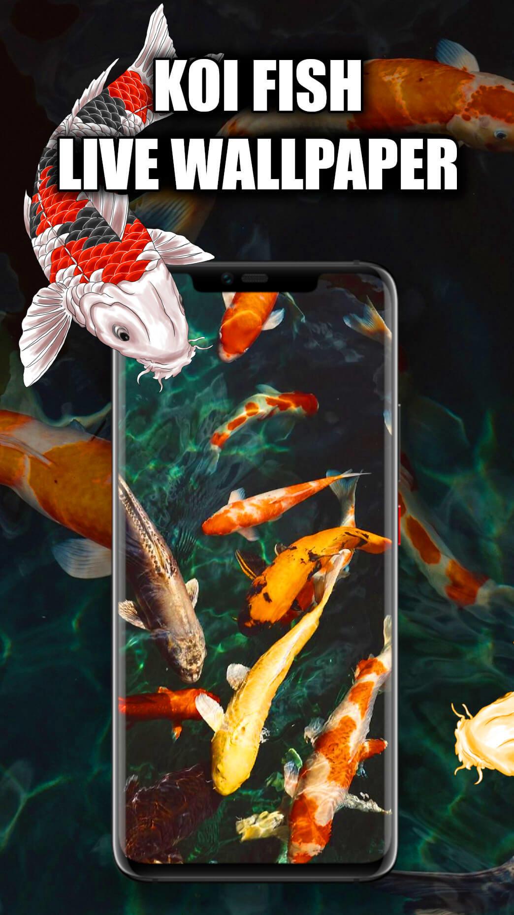 اسکرین شات 1 برنامه Koi Fish Wallpaper Live HD/3D