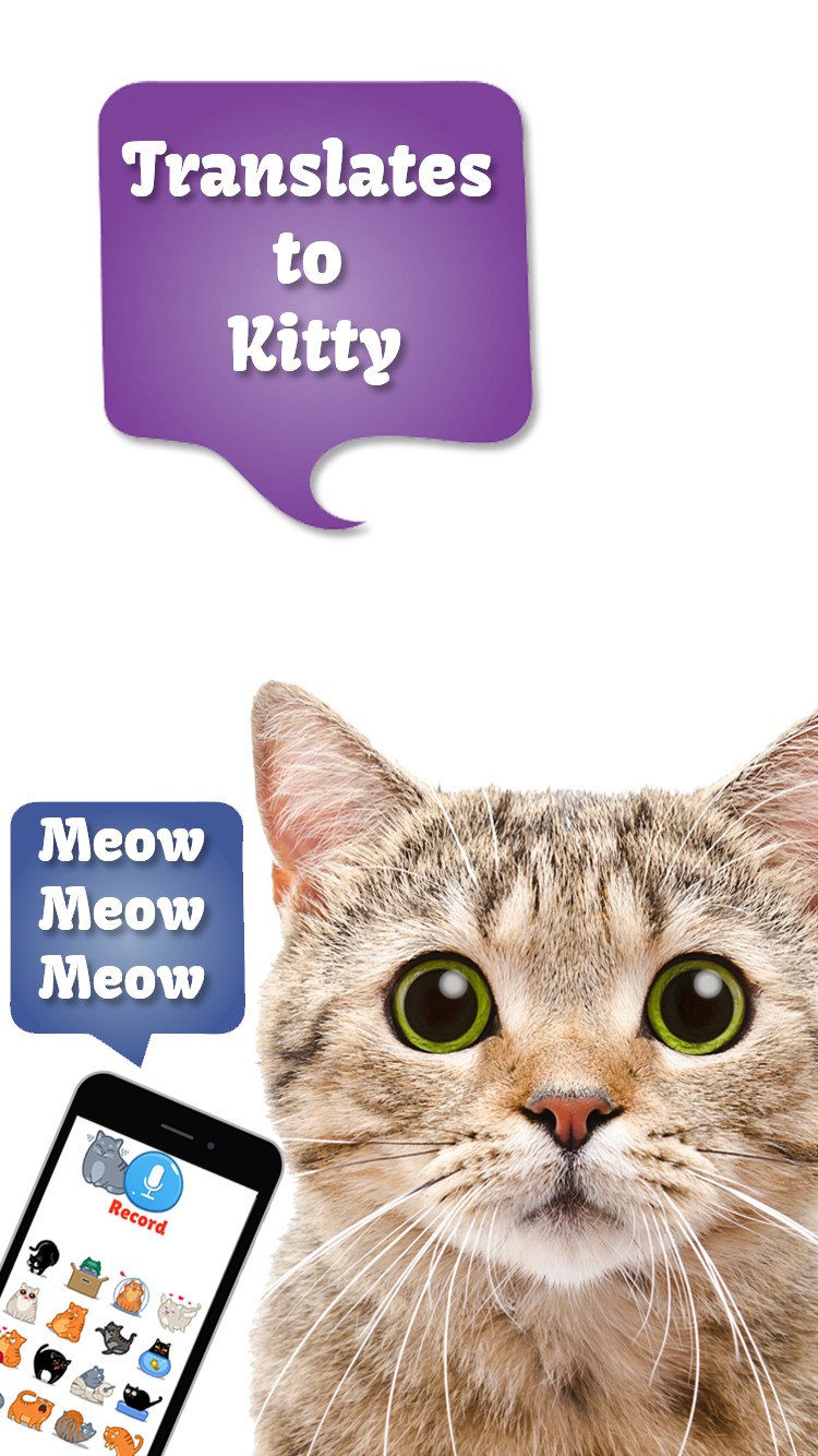 اسکرین شات 2 برنامه Cat Translate: Speak to Kitten