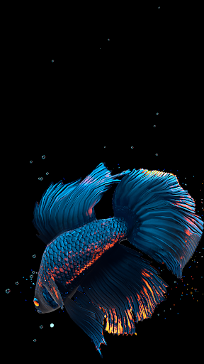 اسکرین شات 2 برنامه Betta Fish Live Wallpaper FREE