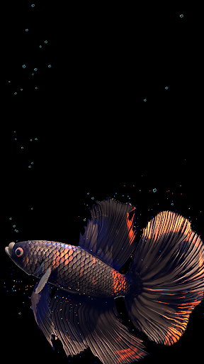 اسکرین شات 8 برنامه Betta Fish Live Wallpaper FREE