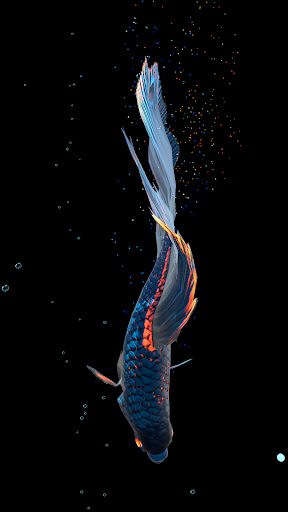 اسکرین شات 4 برنامه Betta Fish Live Wallpaper FREE